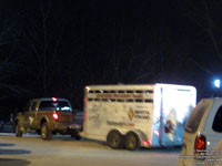 Calgary Stampeders Touchdown Horse