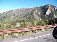 Y.N.P.